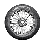 215/55 R17 98T ICE Blazer WST3 XL Sailun