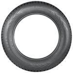 265/50 R19 110V Nokian WR SUV 4 XL M+S Nokian