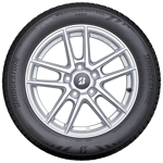 215/60 R17 100V A005 Weather Control DG RFT XL M+S Bridgestone