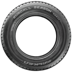 225/55 R17C 109/107T Euroallseason VAN11 M+S Falken