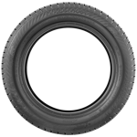 215/55 R17 98V Euro*Frost 6 XL M+S Gislaved