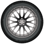 215/55 R17 98V GitiWinter W2 XL Giti