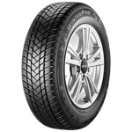215/55 R17 98V Winterpro2 XL M+S GT Radial