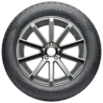 185 R14C 102/100R Ice Power BSW Lanvigator