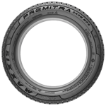 215/45 R17 91V Premitra Snow WP6 XL Maxxis