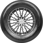 215/65 R16C 109/107T Greenweight A/S Milestone