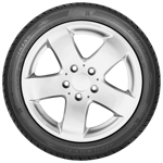 255/40 R19 100Y ProTech HP XL FR Viking