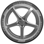 215/50 R17 95Y ProTech NewGen XL FR Viking