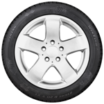 195/65 R15 91H WinTech M+S Viking