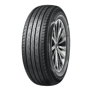 165/60 R14 75H DE301 Diamondback