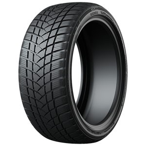215/45 R17 91V Winterpro2 Sport XL GT Radial