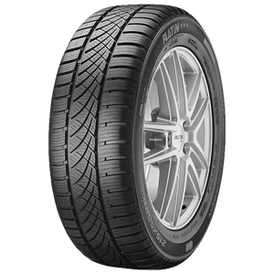 215/45 R17 91V RP 100 Allseason Platin