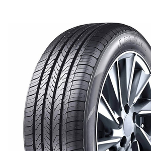 195/65 R15 91V RP203i Aptany
