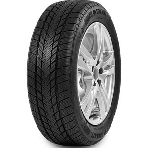 185/65 R15 88H Wintoura Davanti