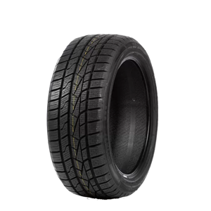 225/55 WR17 101W AW5 Delinte
