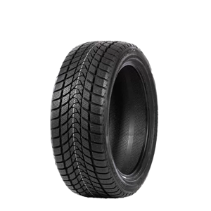 215/65 R16 98H WD1 Delinte