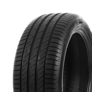 235/55 R18 104V DS2 SUV XL Delinte