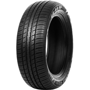 225/55 R19 99V DS66 HP Double Coin