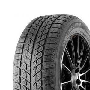 Double Star DW09 215/45R17 91 T XL BSW