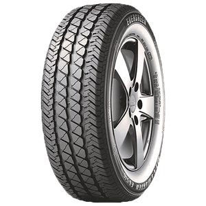 235/65 R16C 121/119R EV516 Evergreen