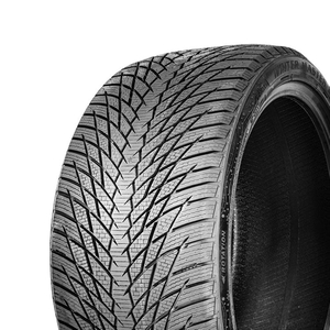 215/55 R17 98V Winter Master-D1 XL Greentrac