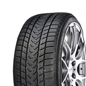275/40 R19 105V Pro Winter XL Gripmax