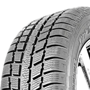 195/65 R15 91H Pirineos Insaturbo