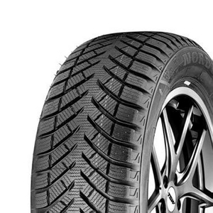 NORDEXX W-SAFE 225/55 R17 97 H