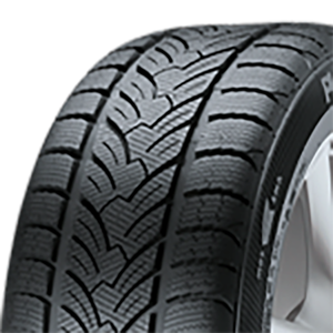 165/70 R14 81T RP 60 Winter M+S Platin