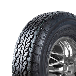 245/65 R17 107T Power Lander A/T Powertrac