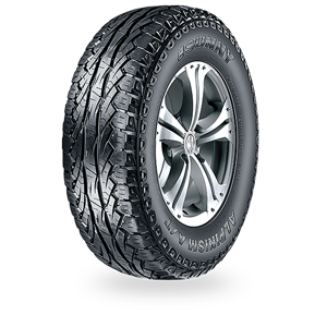265/65 R17 112S NU006 Sunny