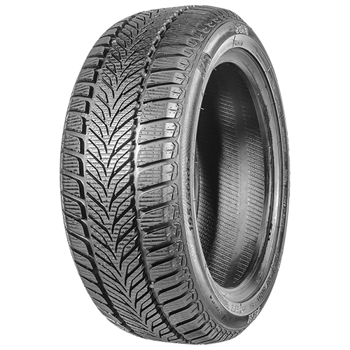 205/55 R16 91H Eskimo HP FP Sava
