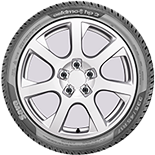 205/55 R17 95V Eskimo HP 2 XL Sava