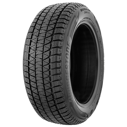 BRIDGEST DM-V3 295/35 R21 107T XL
