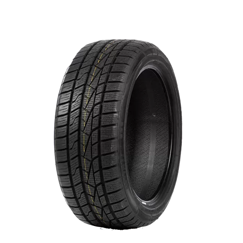 225/55 WR17 101W AW5 Delinte