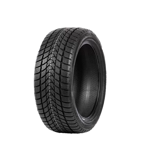165/70 R14 81T WD1 Delinte