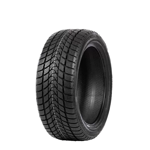 215/65 R16 98H WD1 Delinte