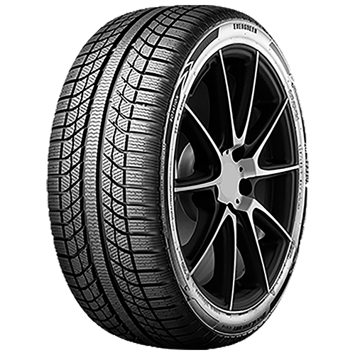 205/55 R16 94V EA719 XL M+S Evergreen