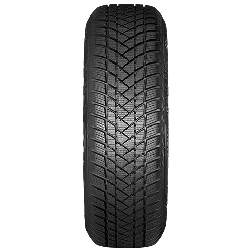 215/55 R17 98V Winterpro2 XL M+S GT Radial