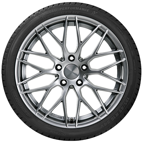 205/55 R16 91H Road Performance Kormoran