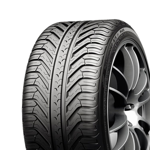 255/45 R19 100V Pilot Sport A/S Plus N1 Michelin