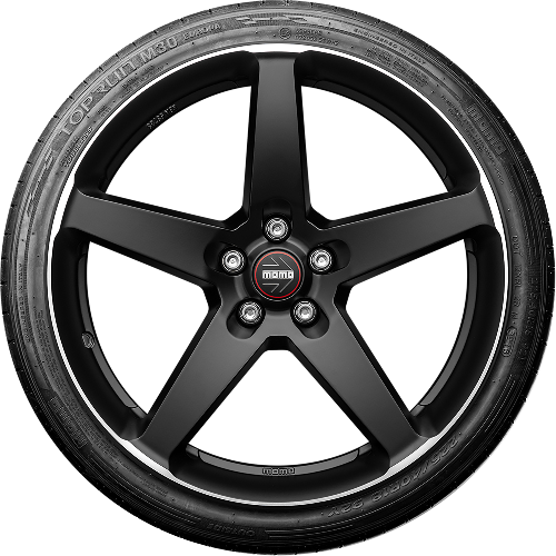 195/55 R16 91V M-30 Toprun Europa XL MOMO
