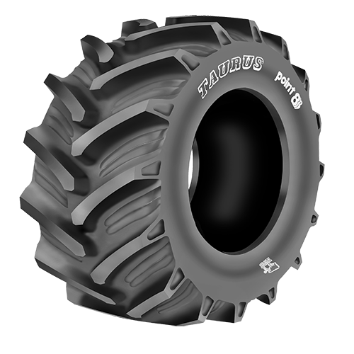 16.9 R38 141A8/138B Point 8 Taurus